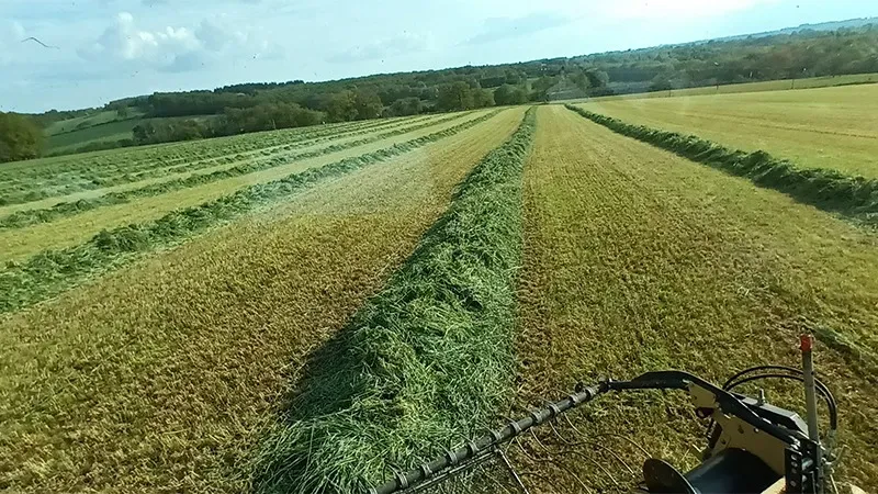 nos travaux agricoles (3)